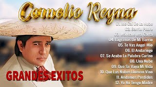 Cornelio Reyna 2024 MIX Grandes Exitos  Me Caí De La Nube Me Sacaron Del Tenampa 24 [upl. by Siuqcram132]