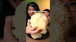 BAHAYA MAKAN SNOW MUSHROOM YANG LAGI VIRAL ATAU PAI MU ER [upl. by Auqenaj]