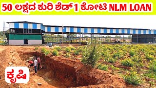 1 ಕೋಟಿ nlm ಸಾಲ  500 ಕುರಿ ಶೆಡ್ ನಿರ್ಮಾಣ  nlmschemeinkannada nlmloanscheme sheepfarming [upl. by Enirak897]