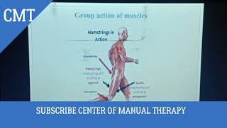 Neuro Muscular Co ordination  URDU  CMT [upl. by Akinot19]