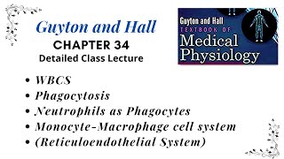 Chapter 5  Reticuloendothelial System  Monocyte Macrophage cell system  WBCs Tissue Macrophages [upl. by Noemad]