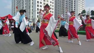 Sakura Yosakoi Dance in Hakama ソーラン よさこい  Japanese traditional dance [upl. by Scutt90]