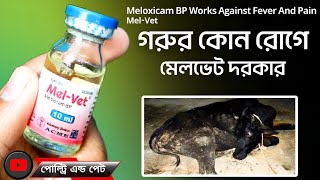 গরুছাগলের জ্বর এবং ব্যাথার জন্য কার্যকারী মেলভেট ইনজেকশন  মেল ভেট  MelVet [upl. by Clayberg353]