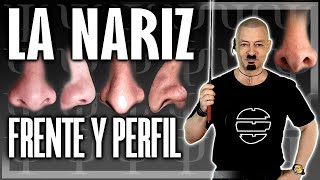 🔴 NARIZ FRENTE Y PERFIL  Morfopsicología y Fisiognomía 2023 [upl. by Lorenzo861]