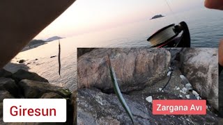 Zargana Avı  İpek ile zargana Avı  Giresun [upl. by Vivie]