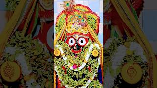 Jay Jagannath Swaminarayan Bhagwan song music live jay ⭕❗⭕🌹🎥🌺🙏🛐🔔🍁 [upl. by Eitsym811]