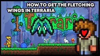 How to get the Fledgling Wings in Terraria 1412 [upl. by Reynolds]