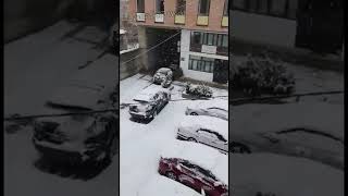 Snowfall in Tbilisi Georgia  Jyothis Food World shorts [upl. by Nettie]