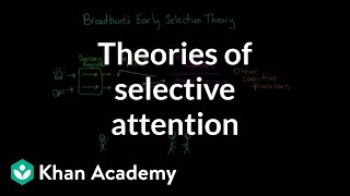 Theories of selective attention  Processing the Environment  MCAT  Khan Academy [upl. by Trimmer]