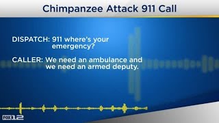 The 911 call from a woman whose pet chimpanzee attacked her 50yearold daughter [upl. by Annauqaj]