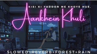 Kisi Ki Yaadon Mein Khoye Hue Slowed and Reverb LOFI  Aankhein Khuli  Hindi Lofi Songs 2021 [upl. by Nugent178]