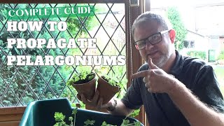 Complete Guide on Taking Pelargonium Cuttings  How to Propagate Pelargonium  Gardening Tips [upl. by Sobel952]