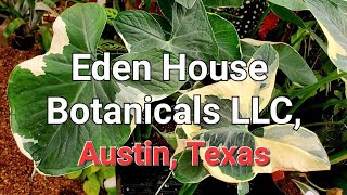 Eden House Botanical LLC Austin Texas [upl. by Akemahs]