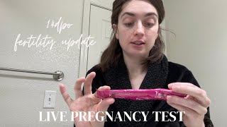 14 DPO Live Pregnancy Test  First Response Early Results amp EasyHome [upl. by Ladnyk323]