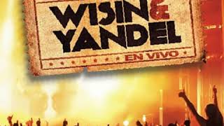 Wisin amp Yandel  Vaquera En Vivo [upl. by Etnud]