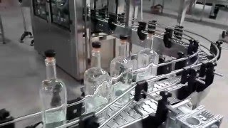 fully automatic wine spirit liquor alcohol bottling line [upl. by Spears216]