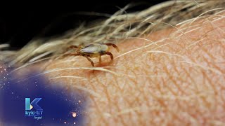 Lyme Disease en soortgelyke siektes  Spreekkamer 30 Mei 2022 kykNET [upl. by Trinette]