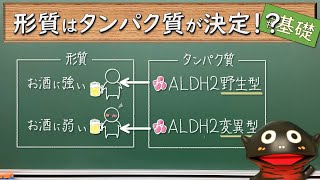 タンパク質と形質【60生物基礎】新課程対応 [upl. by Balduin]