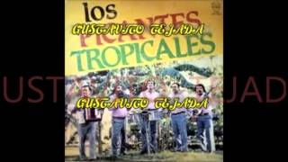 LOS PICANTES TROPICALES ENGANCHADO [upl. by Yllehs932]