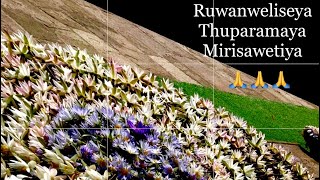 Ruwanweliseya රුවන්වැලිසෑය Thuparamaya ථූපාරාමය Mirisawetiya මිරිසවැටිය [upl. by Nonnahsed]