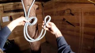 Bowline on a Bight  Arborist Knots [upl. by Ahsenit702]