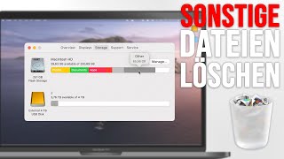 Mac Sonstige DateienSystemdaten löschen amp Speicherplatz schaffen [upl. by Alihs]