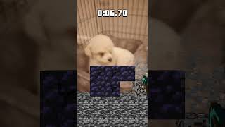 Lola plays the Minecraft rush🤣🤣🤣🤣🤣👍 [upl. by Eliathan]