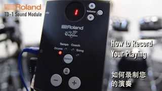 Roland VDrums TD1 Coach  How to record 如何录制TD1电子鼓 [upl. by Tedda382]