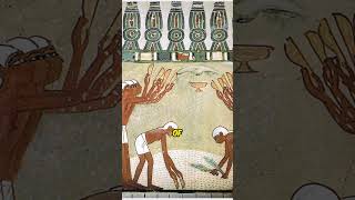 Nakht tomb from Ancient Egypt amazing Facts Shorts minidocumentary [upl. by Cleveland476]