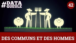 Des communs et des hommes  DATAGUEULE 42 [upl. by Odlaner]