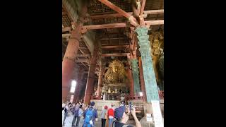 Todaiji Temple Nara Japan [upl. by Alliuqat]