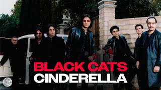 Black Cats CINDERELLA Mix [upl. by Katlaps302]