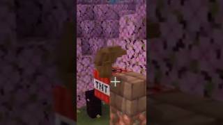 Minecraft Telopathy is starting to get out of control… meme funny wtf minecraft shorts [upl. by Allenrac]