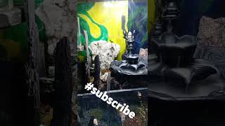 music subscribe aquarium terarium terrarium ecosystem electronicmusic aquascape [upl. by Assille]