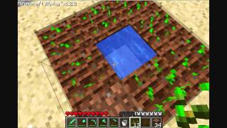 MineCraft Tutorial How to plant amp grow crops [upl. by Acysej]