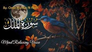 Surah AlMulk سورة الملك Beautiful Recitation of Quran  Al Khayyam Tv [upl. by Kciredec903]