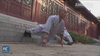 Shaolin monks perform fast powerful kungfu [upl. by Ardnu]