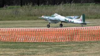 Shepparton Mammoth Scale Fly in 2011 [upl. by Buzzell]