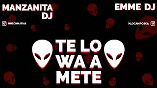 TE LO WA A METE  MANZANITA DJ ft EMME DJ 🔥 [upl. by Godiva]