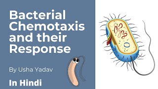 Bacterial Chemotaxis and their Responses  Microbiologyseries CSIR [upl. by Aubin]