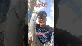 Croaker 115inch fishing [upl. by Maurice188]