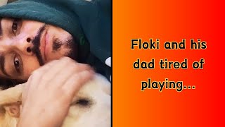 FLOKI AND HIS DAD TIRED OF PLAYING [upl. by Flinn]