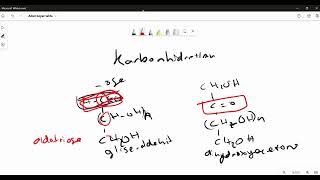 Karbonhidratlar tıp1 biyokimya [upl. by Aeneg]