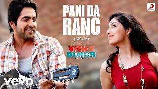 Pani Da Rang Lofi song  Vicky donor [upl. by Adolph929]