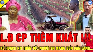 🔴CẢ CHÂU PHI XÔN XAO Team Quang Linh Vlogs NGƯỜI DÂN BẢN MỚI HOÀN THÀNH TRỒNG TRỌT MỘT CÁCH THẦN TỐC [upl. by Ttezzil]