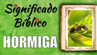 Hormiga Significado Bíblico  ¿Qué Significa Hormiga en la Biblia 🙏 [upl. by Einnol338]