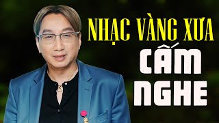 CẤM NGHE VÌ QUÁ HAY  Trường Vũ Chọn Lọc Hay Nhất  LK Sầu Tím Thiệp Hồng  Nhạc Vàng Xưa Hải Ngoại [upl. by Allets]