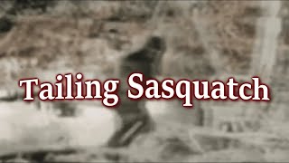 Tailing Sasquatch — Mockumentary [upl. by Livi]