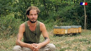 Reconversion en apiculture  Nathan témoigne [upl. by Ahsemak]