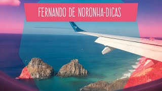 NORONHA VLOGDICAS [upl. by Erde901]